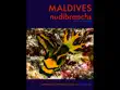 Maldives Nudibranchs synopsis, comments