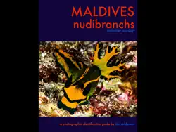 maldives nudibranchs book cover image