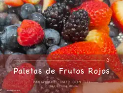 paletas de frutos rojos book cover image