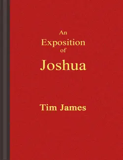 an exposition of joshua book cover image