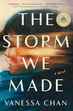 the storm we made imagen de la portada del libro