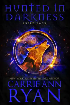 hunted in darkness book cover image