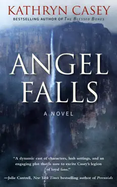 angel falls book cover image