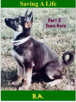 saving a life - town hero book cover image