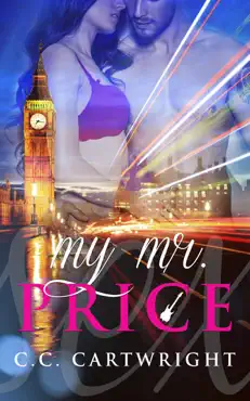 my mr. price book cover image