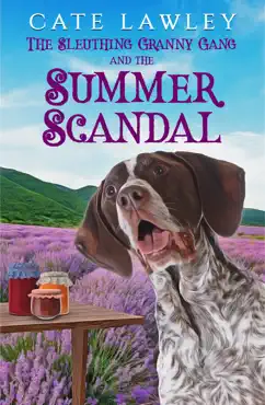 the sleuthing granny gang and the summer scandal book cover image