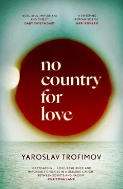 no country for love imagen de la portada del libro