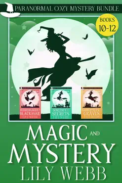 magic and mystery book cover image