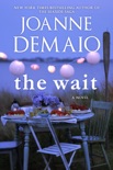 The Wait book synopsis, reviews