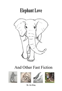 elephant love and other fast fiction book cover image