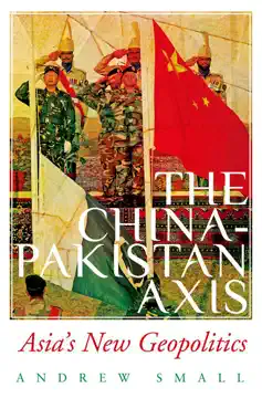 the china-pakistan axis book cover image
