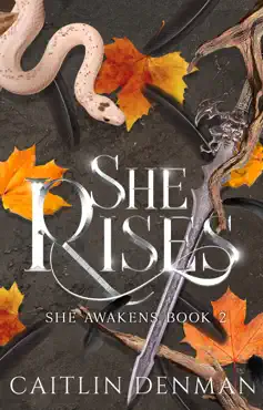 she rises book cover image