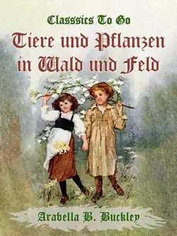 tiere und pflanzen in wald und feld book cover image