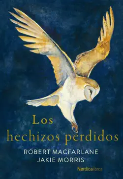 los hechizos perdidos book cover image