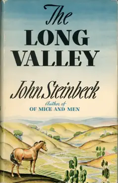 the long valley book cover image