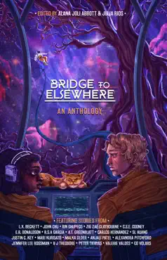 bridge to elsewhere book cover image