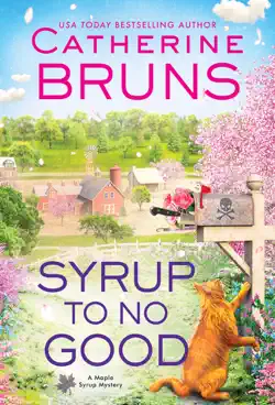 syrup to no good book cover image
