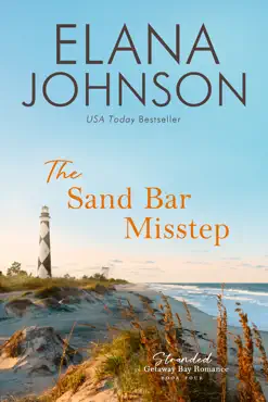 the sand bar misstep book cover image