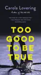 Too Good to Be True synopsis, comments