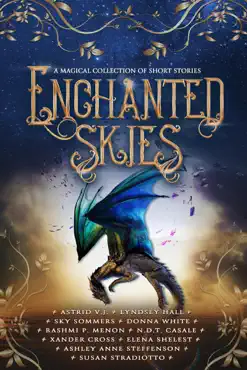 enchanted skies book cover image