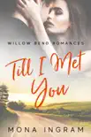 Till I Met You synopsis, comments