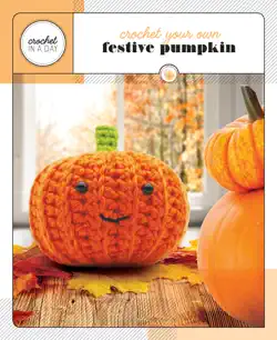 crochet your own festive pumpkin book cover image