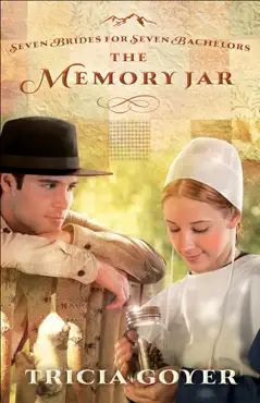 the memory jar book cover image