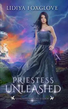 priestess unleashed book cover image