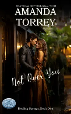 not over you book cover image