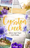 Crosston Creek - Wenn dein Herz mich findet sinopsis y comentarios
