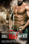 Big Bad Wolf synopsis, comments