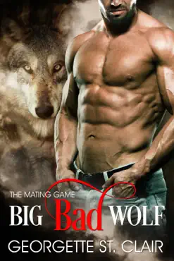 big bad wolf book cover image