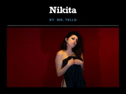 nikkita book cover image
