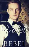 The Valet synopsis, comments