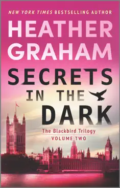 secrets in the dark book cover image