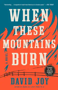 when these mountains burn book cover image