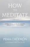 How to Meditate synopsis, comments
