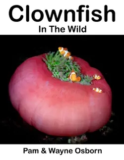 clownfish - in the wild book cover image