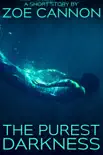 The Purest Darkness synopsis, comments