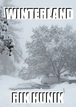 winterland book cover image