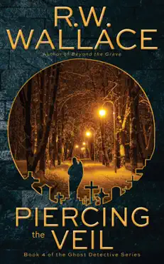 piercing the veil book cover image