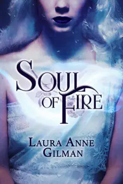 soul of fire book cover image