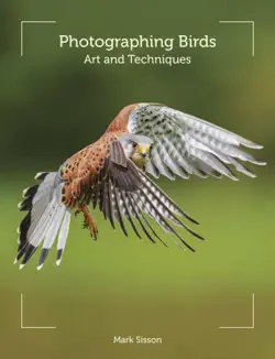 photographing birds book cover image