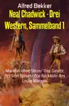 Neal Chadwick - Drei Western, Sammelband 1 synopsis, comments