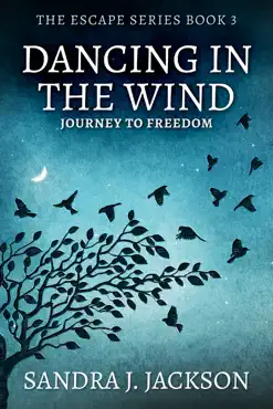 dancing in the wind book cover image