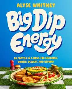big dip energy book cover image