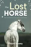 The Lost Horse - Book 6 in the Connemara Horse Adventure Series for Kids synopsis, comments