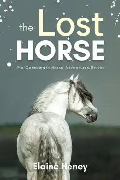 the lost horse - book 6 in the connemara horse adventure series for kids book cover image