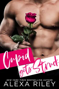 cupid get's struck book cover image