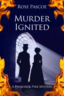 murder ignited book cover image